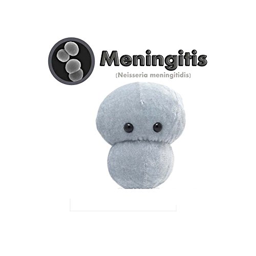 GIANTMICROBES Microbi Giganti Peluche MENINGITE