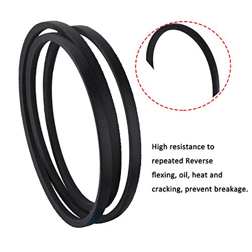 Drive Belt Detail