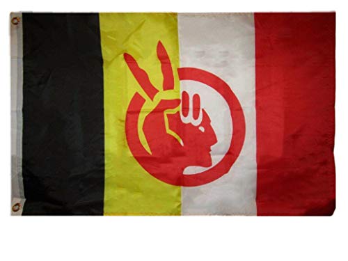 Trade Winds 2x3 Ft American Indian Movement Flag Native American