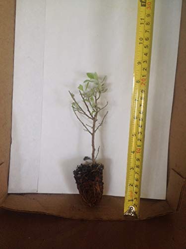 product_img5