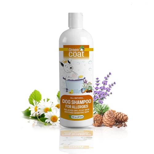 Green Coat All-Natural Dog Shampoo for Sensitive Skin | Natural and Organic Ingredients | Skin Cleansing Properties, Relieves Dry Itchy Skin | 16fl oz 473 ml.