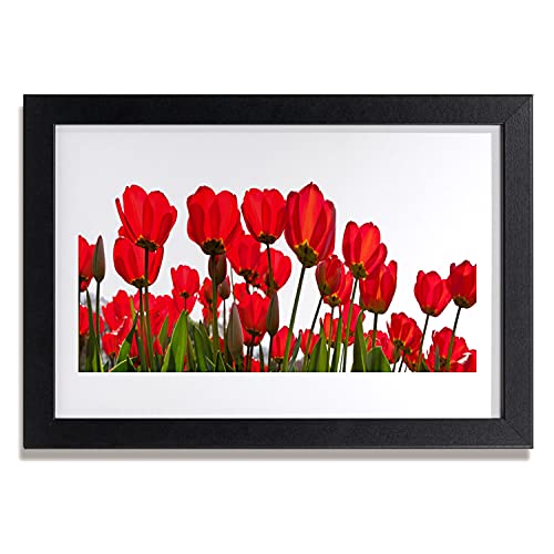 Cadre murale fleurs sur le mur pour habiller un petit espace vide rapidement