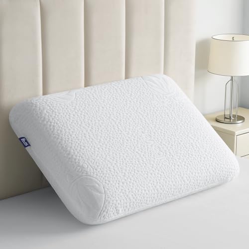 BedStory Memory Foam Kopfkissen 60x40CM×10CM-Ergonomisches Nackenstützkissen-Atmungsaktives Kissen mit abnehmbarem und waschbarem Bezug- Visco...