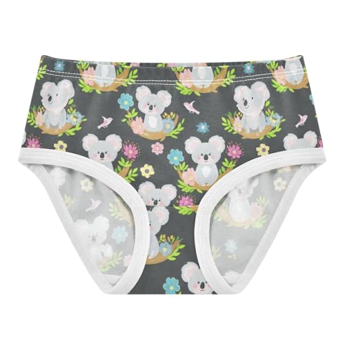 Girls Underwear Toddler 2t Cotton Panties for Girl Fancy Underpants Briefs Cute Cartoon Koalas Flower