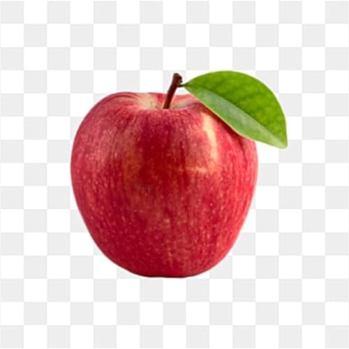 Podcast des enfants copertina