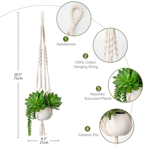 Hollyone Artificial Hanging Plants, Fake Potted Succulents with Cotton Ropes - Image 2