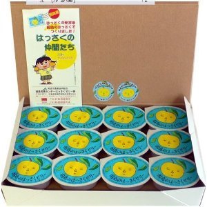 いとはっさく 和歌山産手剥き八朔缶詰450g×8缶入り(日高町) | 和歌山県日高町