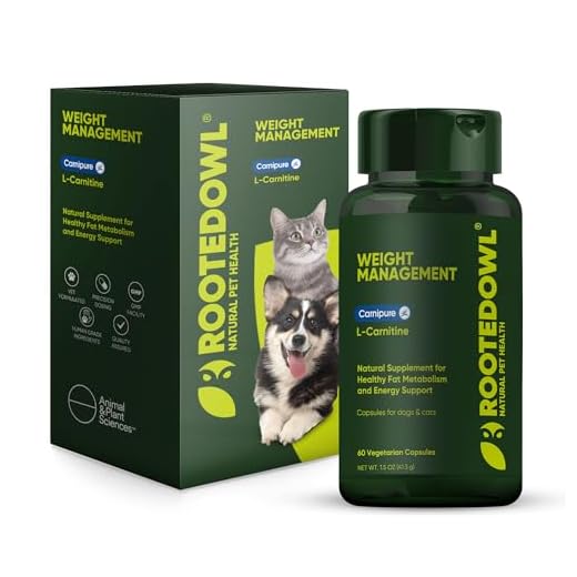 L-Carnitine Supplement for Pets