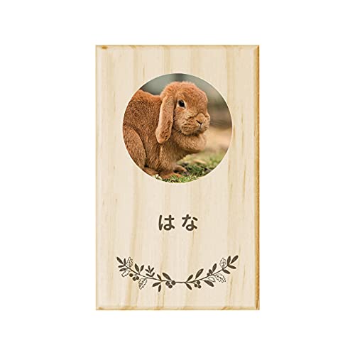 y ꖳ z ̖уP[X [t ʐ^   ETM  e A ybg O IWi  ۊ  ̖ѓ O 킢 v[g Mtg  P[X  LO vo g~O Jbg