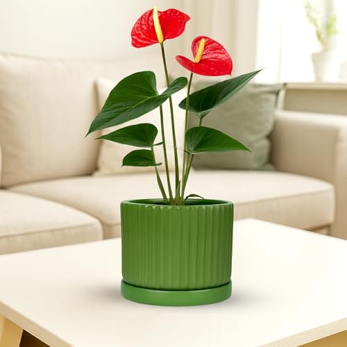 Image of Urban Plant Terracotta Pot with Saucer - Trendy Planter for Modern Home & Garden Spaces (Fresh Breath Terracotta Pot - Vertical)