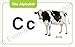 Evan-Moor The Alphabet (Evan-Moor Flashcards) (Learning Line Flashcards)