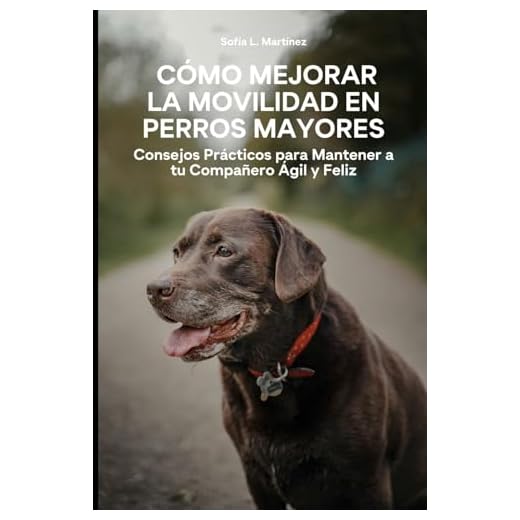 Cómo Mejorar la Movilidad en Perros Mayores: Consejos Prácticos para Mantener a tu Compañero Ágil y Feliz