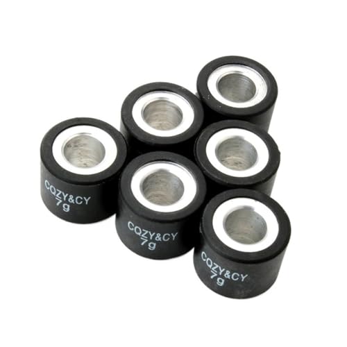 バリエーターレーシングローラーウェイト 6個 5g〜8g 19x15.5mm 50 Mc3 50cc 2T オートバイ対応(7G)