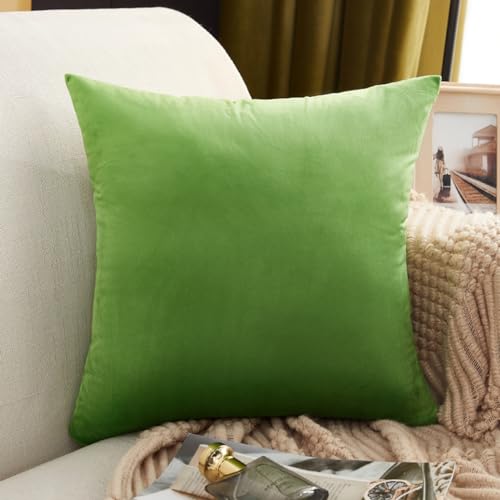  _̂悤 NbV  }V} ӂӂ  w 傫 zc }CNt@Co[ rO ݑ[N X^C16 y tANbV k[hNbV Gǂ 50*50cm \t@w 45×45cm O