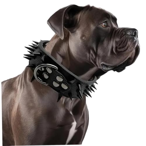 Collier pour chien à pointes cuir PU large avec rivets de sécurité et boucle métal