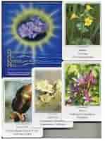 木箱入りバッチフラワーエッセンス&ポストカード Amazon.co.jp: バッチフラワー 写真カードセット（38種）ドイツ