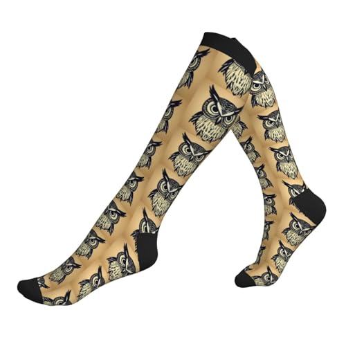 Longzehao Cute Owl Print Compression Socks for Women and Men,15-20 mmHg is Best Support for Athletic sports