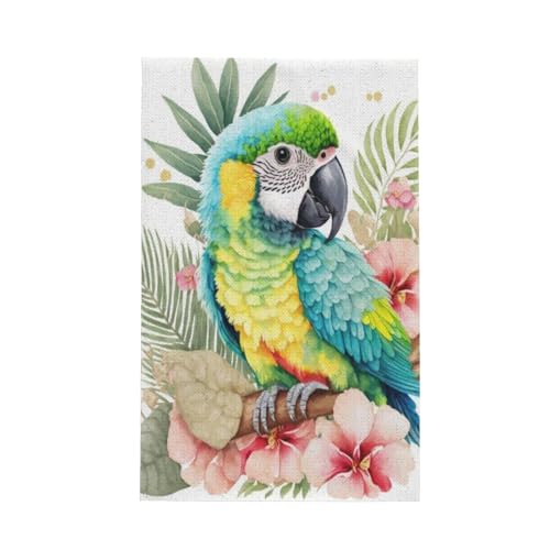 btLb`^I̓}CNt@Co[ŁAzAARېɗDĂ܂i킢IE JtȃgsJX[p[N[ȃX^C j