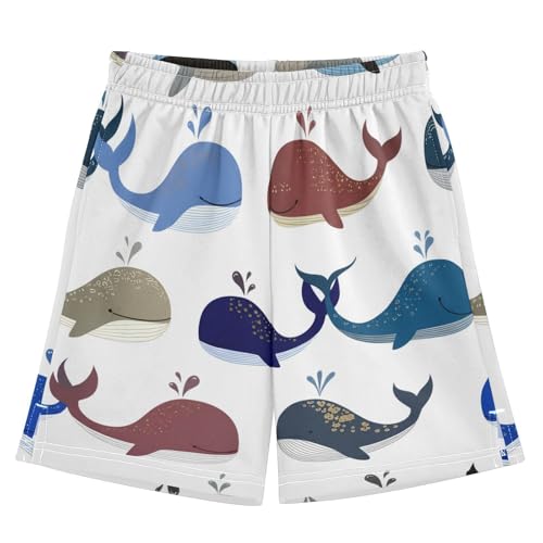 J JOYSAY Cartoon Whale Many Colors Boys Athletic Shorts Kids Youth Casual Shotrs with Elastic Waistband Pockets