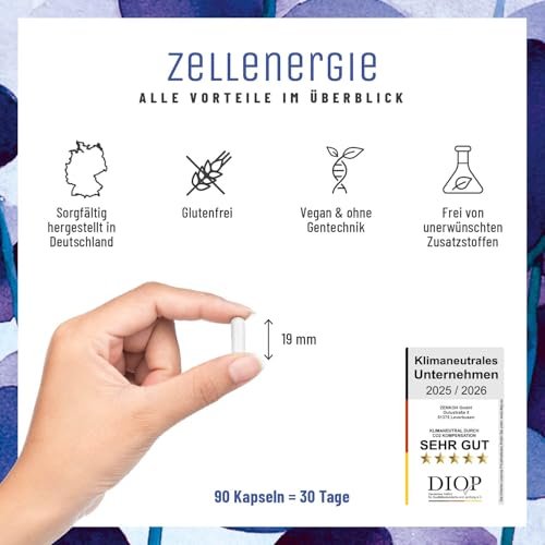 Zellenergie - NAD+ Faktor - mit Nicotinamide-Riboside 300mg (NR) - NAD Komplex - Betain, Resveratrol, Coenzym Q10, Taurin & Vitamin B3 - laborgeprüft in Deutschland – 90 vegane Kapseln von NATURTREU