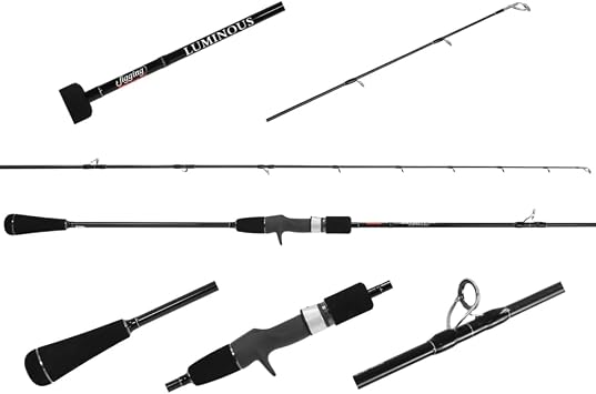 Jigging World Luminous Slow Casting Rods