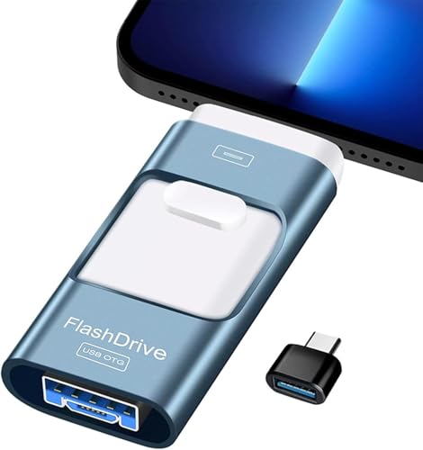 Chiavetta USB 256G, 4 in 1 Pendrive Pennette USB C