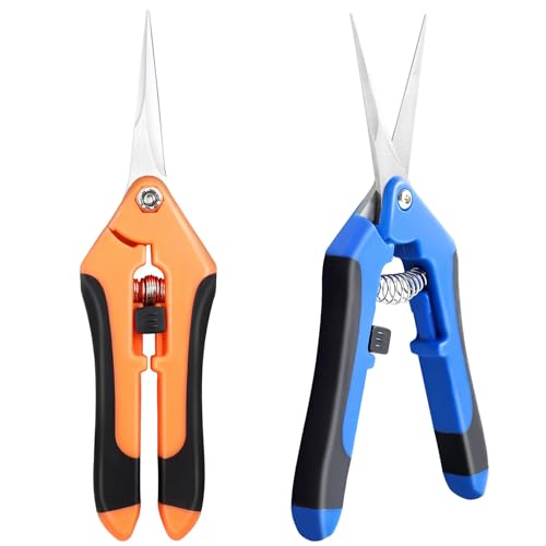 Sécateurs de Jardinage, 2 Ciseaux Jardinage Professionnel Ergonomique, 220 mm Ciseaux de Jardin pour Branches, Coupe Branche Sécateur, Cisailles à Plantes pour le Jardinage, Ciseaux à Fleurs et Fruits