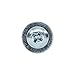 100 Pack of Rok Hardware #8 x 1-1/4