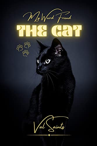 My Weird Friend: The Cat