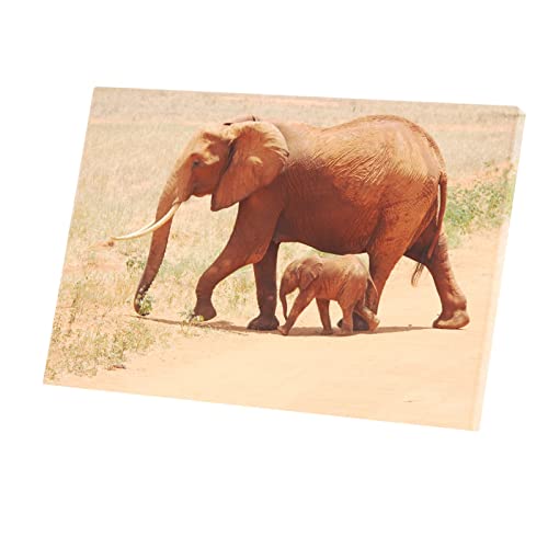Toile imprimée éléphant et bébé savane poster décoratif haute définition