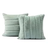 Photo Gallery aqigr 2pcs copri federe cuscini divano 45x45 50x50 60x60 65x65 copricuscini decorativi, 30x50 fodere per cuscinocon cerniera nascosta(green,65x65cm(set of 1)) Photo Gallery aqigr 2pcs copri federe cuscini divano 45x45 50x50 60x60 65x65 copricuscini decorativi, 30x50 fodere per cuscinocon cerniera nascosta(green,65x65cm(set of 1))