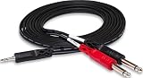 Hosa CMP-159 - Cavo breakout stereo TRS da 3,5 mm a doppio TS da 6,35 mm, 3,5 m, nero, confezione da 1