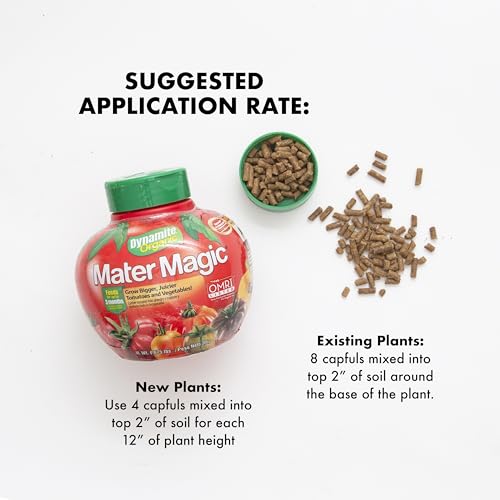 Dynamite 222280 Mater Magic - Organic Tomato Fertilizer thumb #7