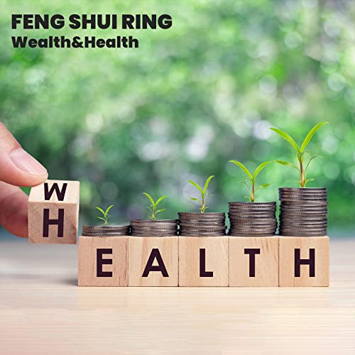 HETICA Feng Shui Pixiu Mantra Amulet Lucky Adjustable Ring Buddhist Good Luck Mantra Double Protection Wealth Love Health Ring Vintage Ring Jewelry Gift2