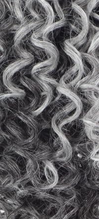 Shake-N-Go Harmony Lace wig Novalie (SLATE-GREY)