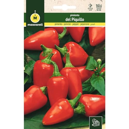 Mascarell Semillas, PIMIENTO, Semillas Huerto, PIMIENTO DEL PIQUILLO, Crea tu Propio Huerto Urbano y Cultivo en Casa, Plantas Hortícolas, 1 Gramos