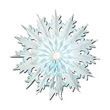 Pkgd Dip-Dyed Snowflakes (2/Pkg)