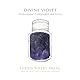 Ferris Wheel Press Calligraphy Ink, Deep Purple, 28ml