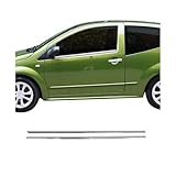 Garniture de Fenêtre pour Citroen C2 HB 2003 2009 Acier INOX 2Pcs