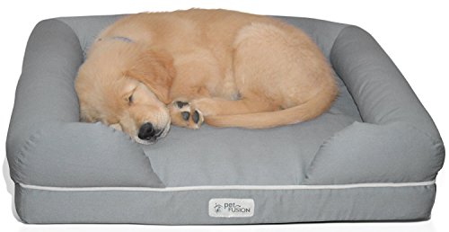 PetFusion Ultimate Solid 2,5 'Memory Foam Haustierbett für kleine Hunde und Katzen (25 x 20 x 5,5' orthopädische Sofacouch; grau). Ersatzabdeckungen und Decken sind ebenfalls erhältlich