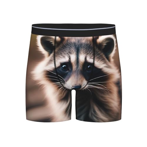 NImongt Lindo mapache (1) Calzoncillos tipo bóxer para hombre, elásticos, cómodos, suaves, transpirables, para uso diario, Negro, XL