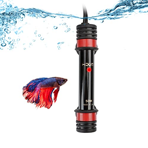 Top 10 Best Betta Heater 3 Gallon Reviews & Buying Guide Katynel