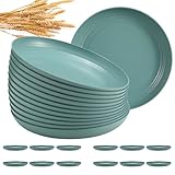 HEYCOME 12 Pcs Unbreakable Deep Dinner Plates Set...