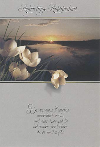 Taunus Verlag 50 biglietti di auguri per