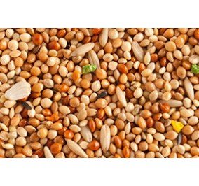 Sinfonia Mixtura Periquitos 25 Kg