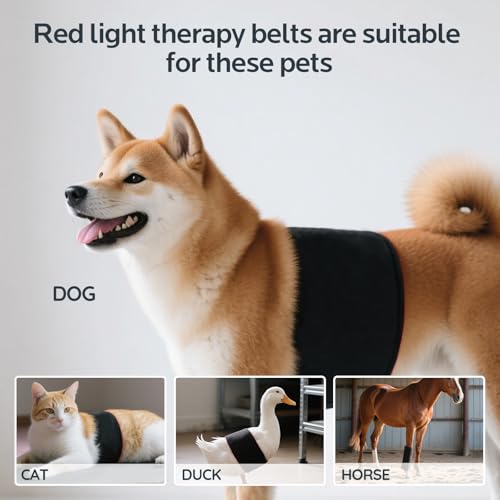 Red Light Therapy for Dogs,Wearable Infrared Light Therapy Belt for Pets Wounds Repair,Joint & Back Pain Relief,12.8 × 6.8 in 660/850 nm 80-LED Pad - Image 6