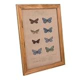 WANDERLUST DECO Cuadro de madera y tela impresa 33x43x1,8