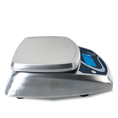 Balanza Inoxidable SS (230x190 (15Kg/1g))