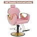 LOUVIXA Barber Chair for Hair Stylist, Height Adjustable Hydraulic Hair Reclining Salon Chair, 360 Degrees Rotation, Multi-Function Shampoo Chair for Salon Barbershop (Modern Pink)
