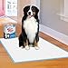 Four Paws Wee-Wee Superior Performance Pee Pads for Dogs with Runoff Barrier Edge Guard Protection, Puppy & Dog Potty Training Pads, Housebreaking Supplies, 27.5